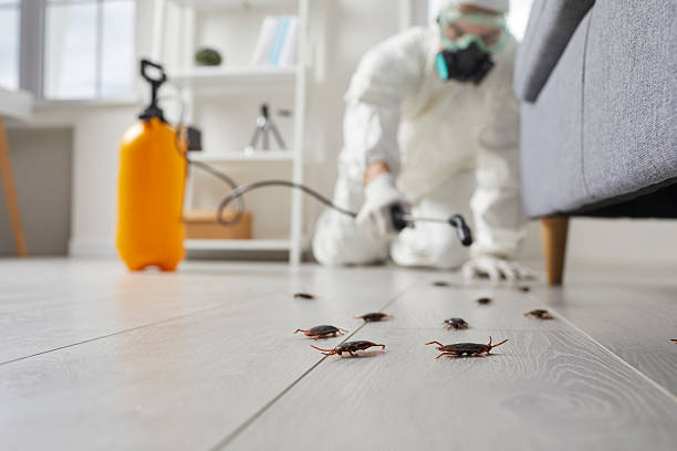 Post-Treatment Bed Bug Interceptor Monitoring in Rockton