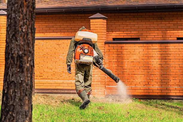 Bed Bug Clearance Verification and Documentation in Rockton
